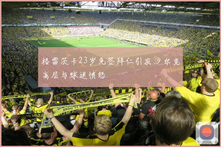 格雷茨卡23岁免签拜仁引发沙尔克高层与球迷愤怒