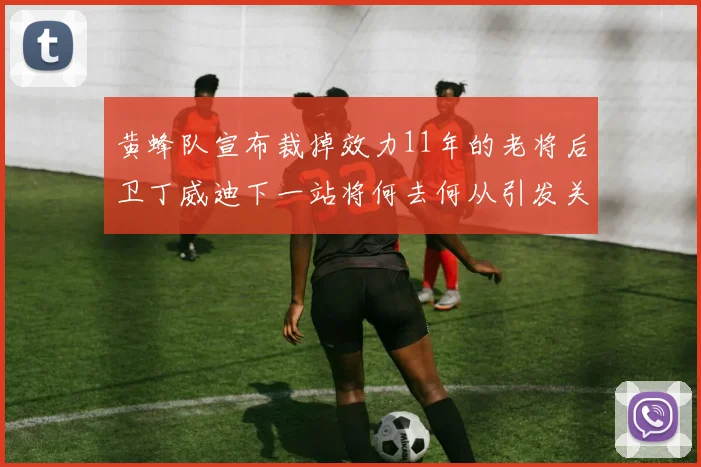 黄蜂队宣布裁掉效力11年的老将后卫丁威迪下一站将何去何从引发关注