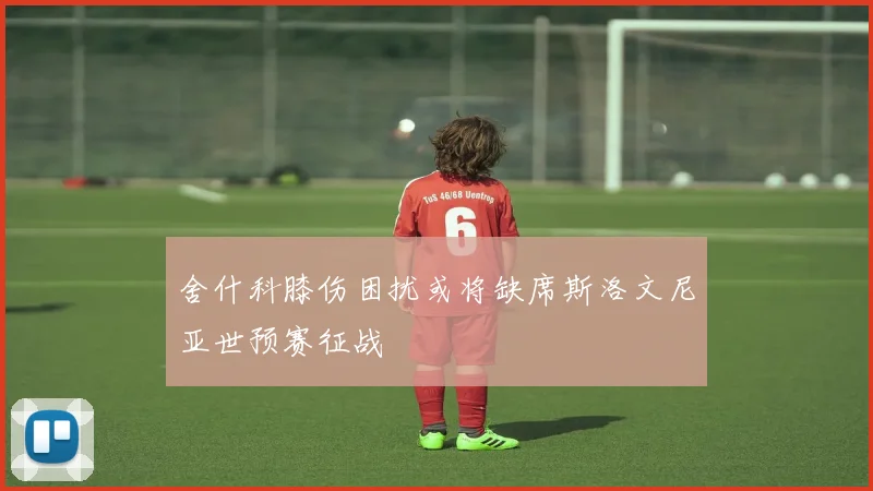 舍什科膝伤困扰或将缺席斯洛文尼亚世预赛征战