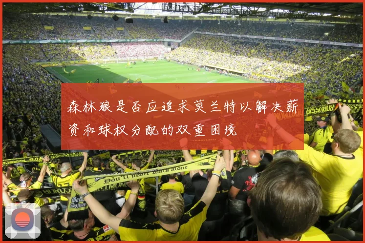 森林狼是否应追求莫兰特以解决薪资和球权分配的双重困境