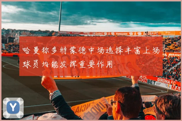 哈曼称多特蒙德中场选择丰富上场球员均能发挥重要作用
