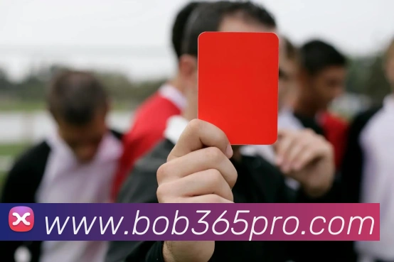 BOB体育APP 高清赛事图